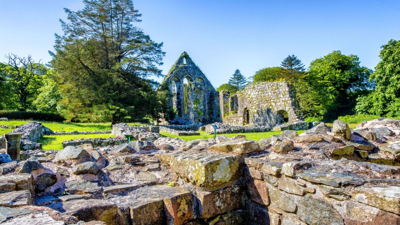 A photo of the Grey Abbey ruins and leafy surrounds on a sunny day